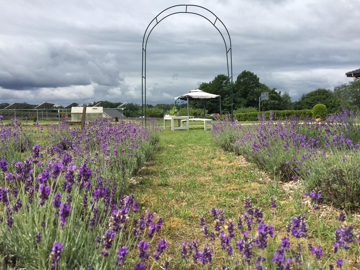 Lavender Village Kiemeliai Exterior foto
